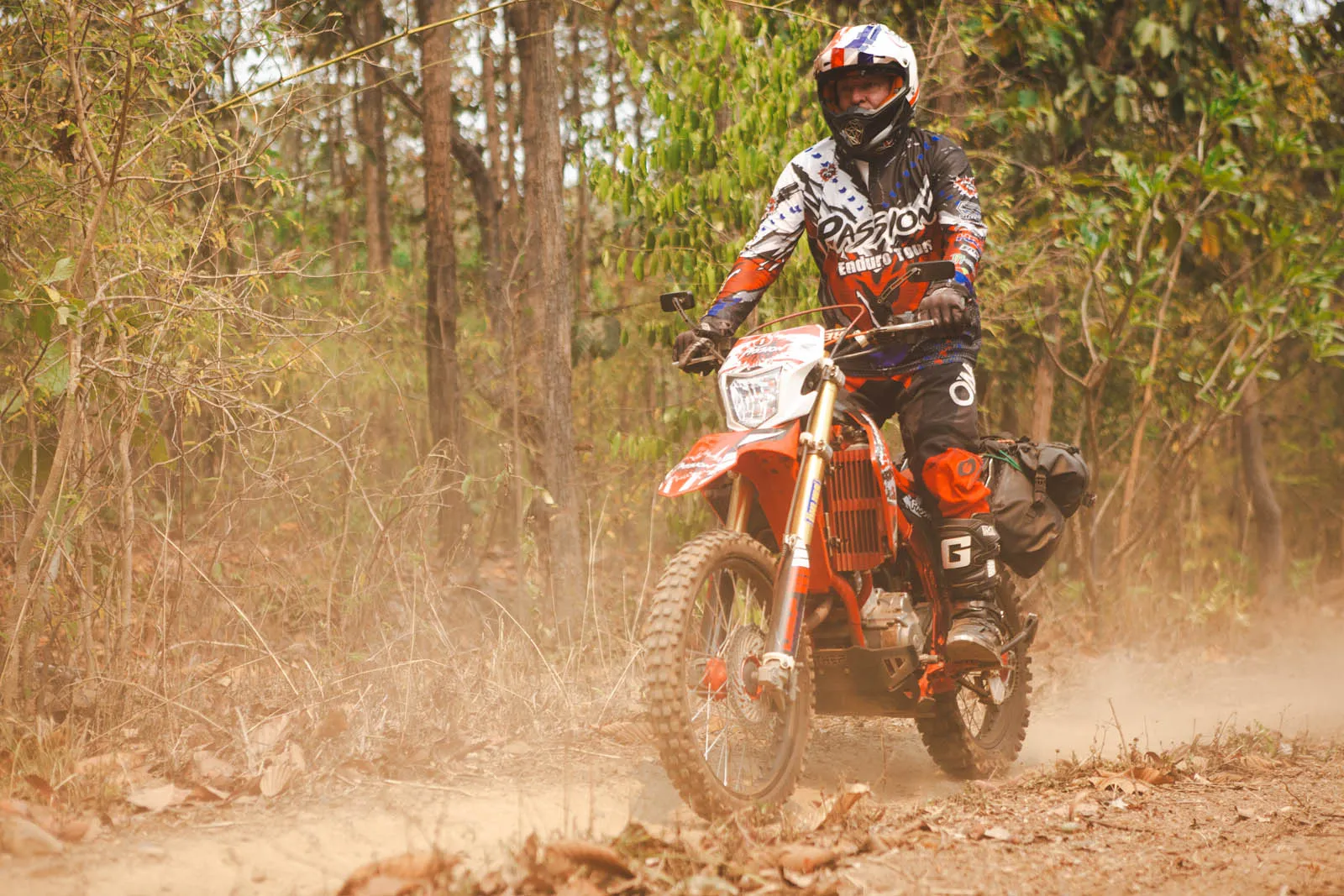 Elephant Trails &Mountain Passes